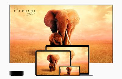 apple tvplus now available the elephant queen 11119