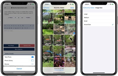 Safari Complete Guide To Ios 13 Macrumors