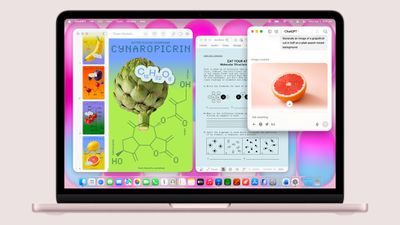 macbook neo pink display