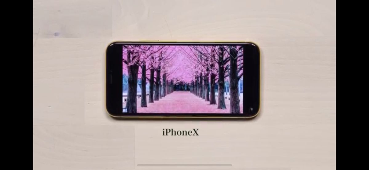 MacRumors content image