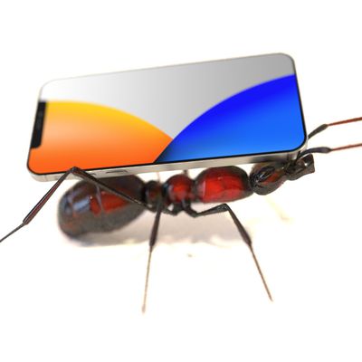 antphone12 feature