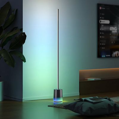 govee floor lamp