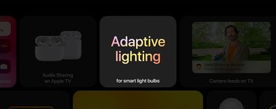 adapptive Lightning feature