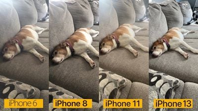 iphone camera comparison dog
