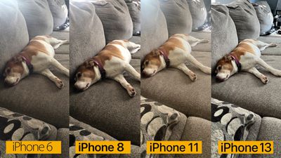 iphone camera comparison dog