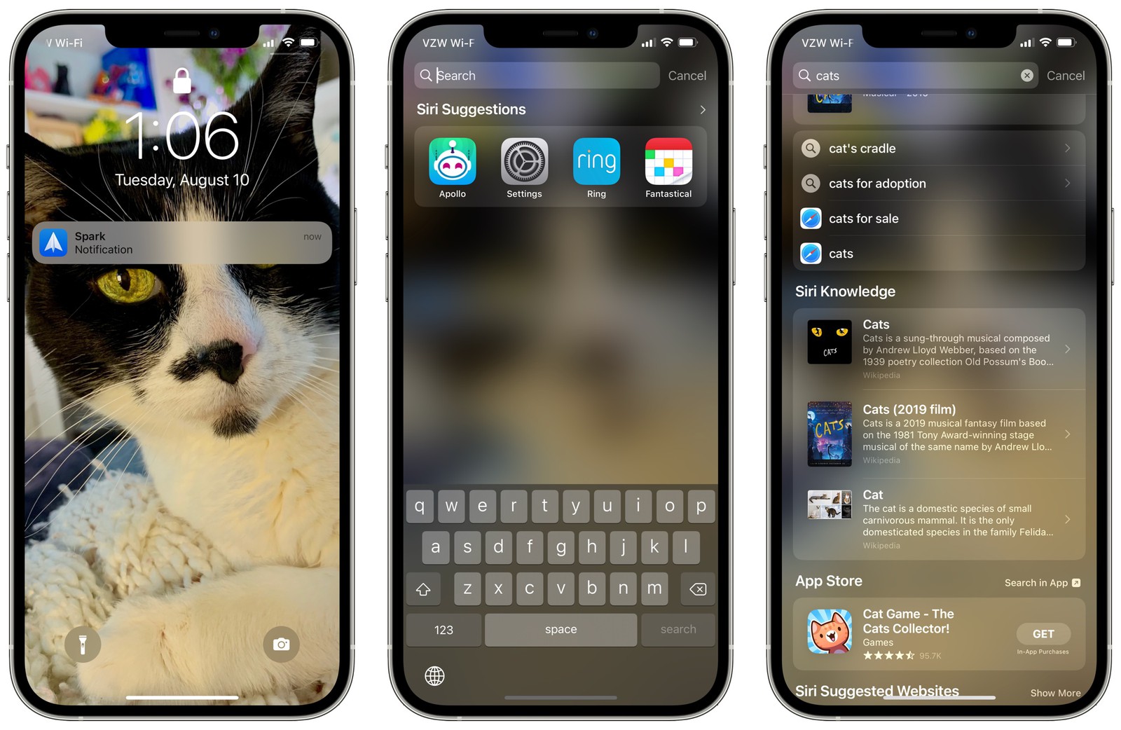 iOS 15 Spotlight Improvements: Rich Results, Web Images, Photos Search