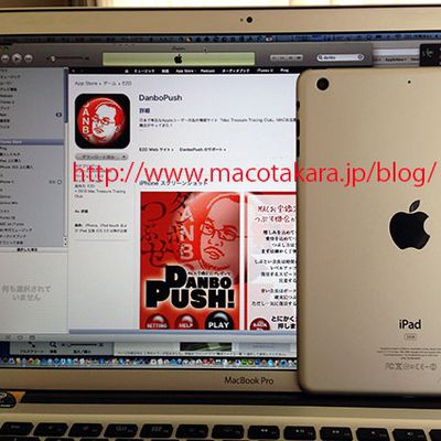 ipadmini
