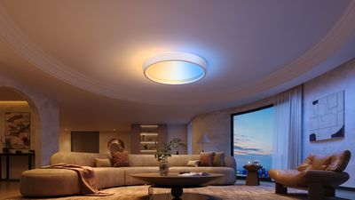 govee ceiling light