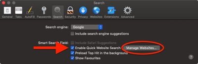 how to perform a quick website search in safari 4