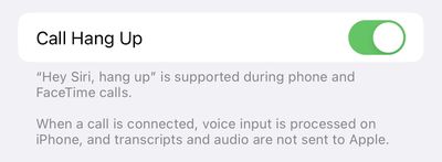 iPhone 14 Pro Siri 전화 끊기