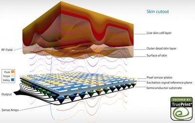 authentec_cross_section