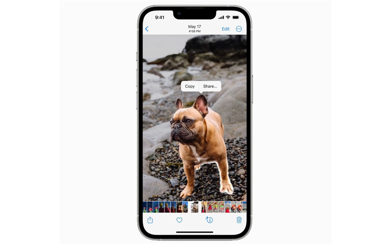 iOS 16: como isolar, copiar e compartilhar assuntos de fotos