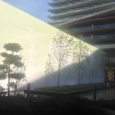 MacRumors content image