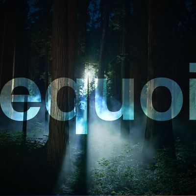 macOS Sequoia Night Feature