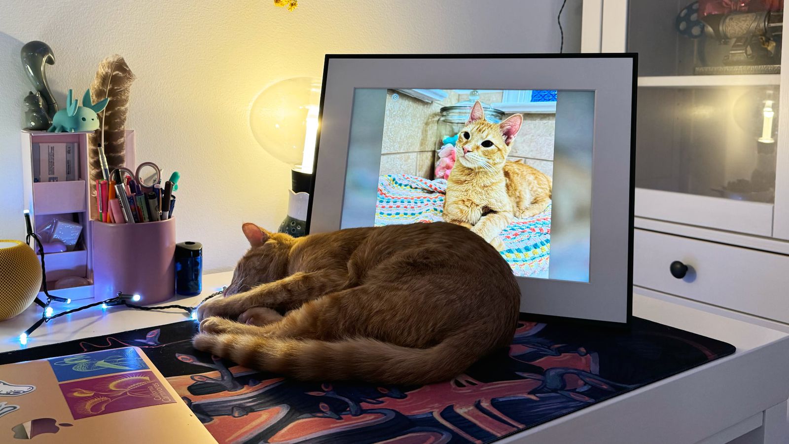 Aura Walden Review MacRumors