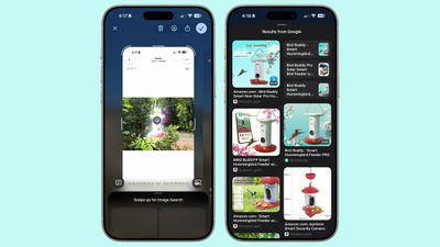 visual intelligence screenshot ios 26