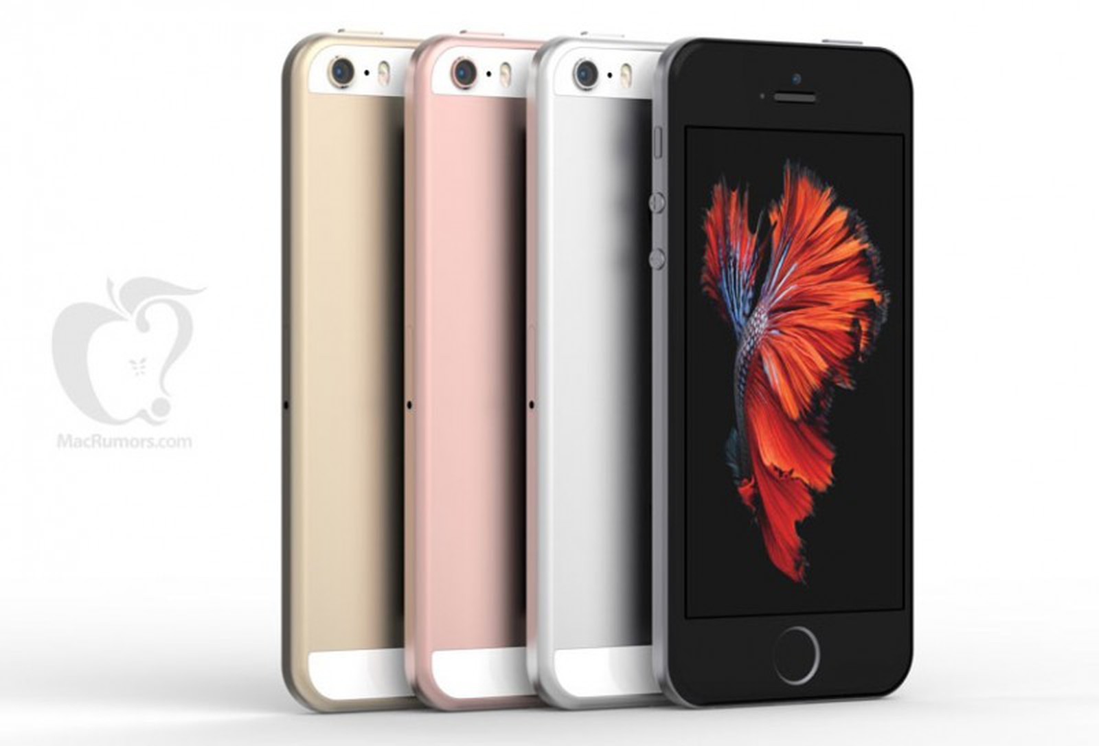 iPhone 5se: A New 4-inch iPhone for 2016