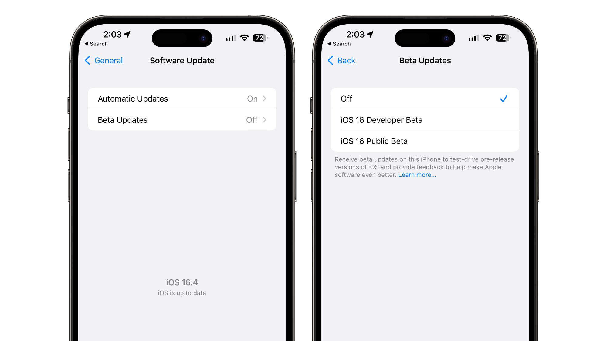 iOS 16.4 and iPadOS 16.4 Let Developers and Public Beta Testers Opt in to Betas Directly From Software Update Settings - macrumors.com