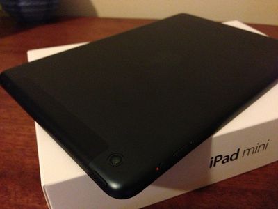 ipad mini lte delivered