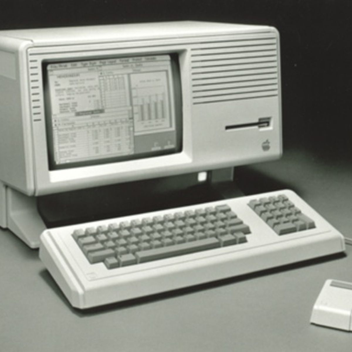 lisacomputer.jpg