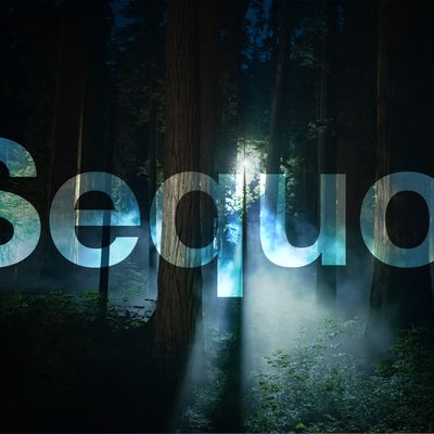 macOS Sequoia Night Feature