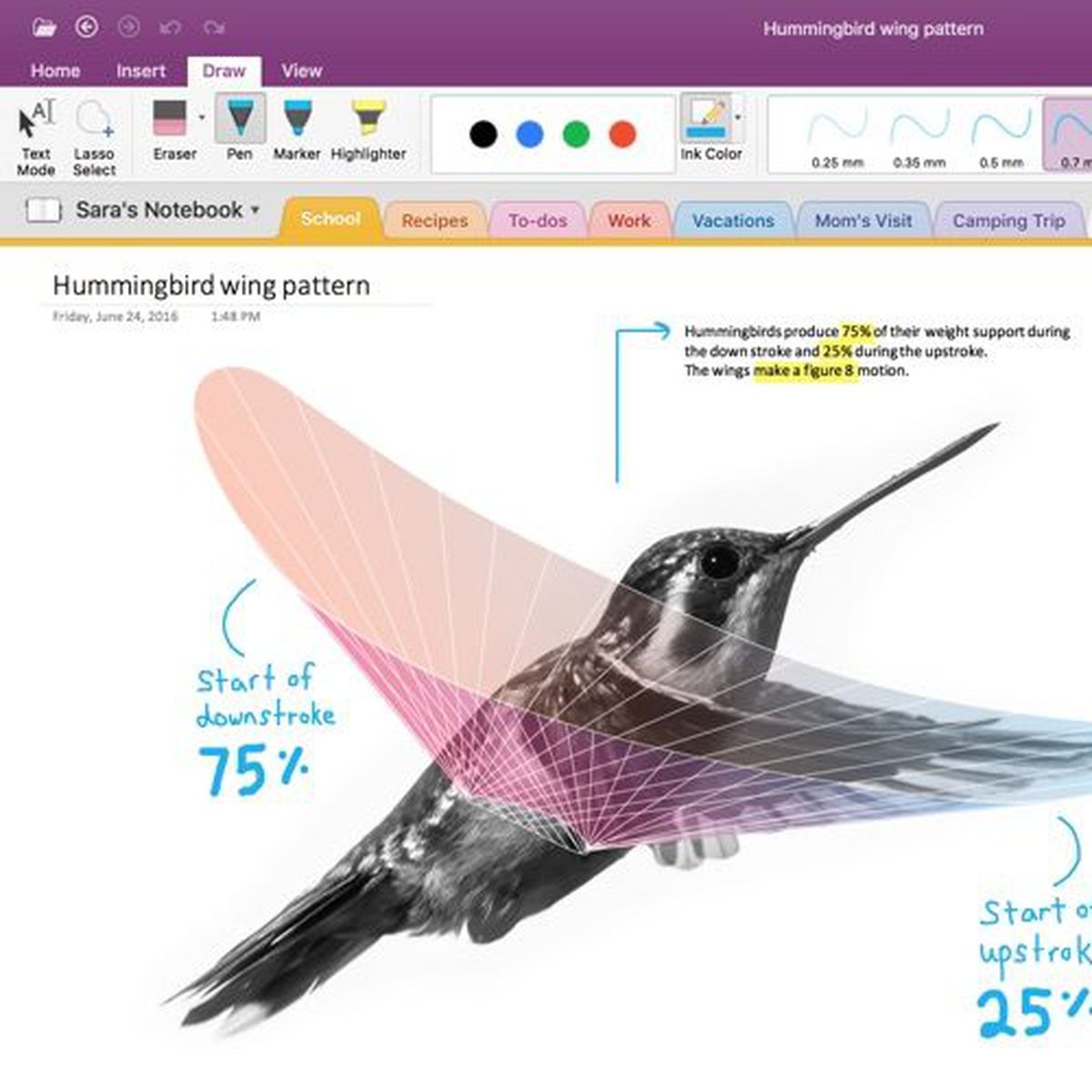 can we play video on ms onenote on macbook