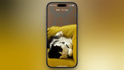 cat couch lock screen clock compact mode