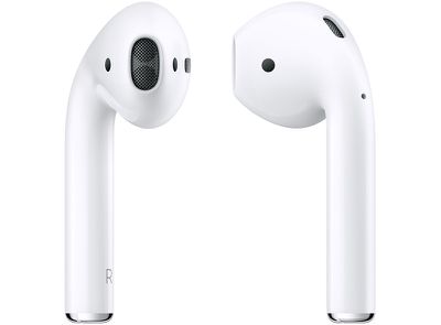 That Squirrel have a finger in the pie Apple Sending Replacement AirPods With Unreleased Firmware, Rendering Them  Unusable - MacRumors