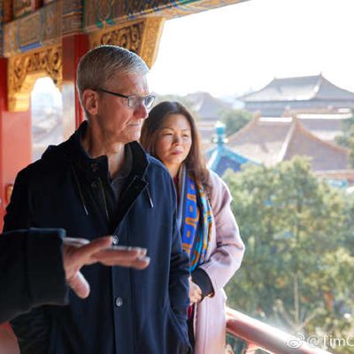 tim cook palace museum