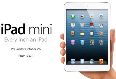 ipad mini hand 329