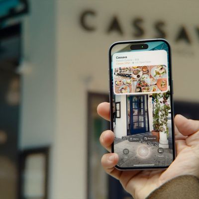 Apple Visual Intelligence