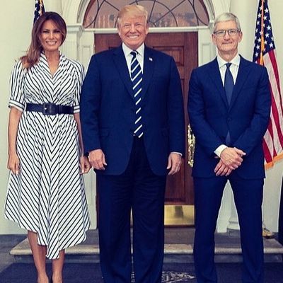 tim cook donald melania trump
