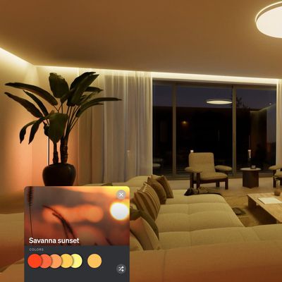 hue spatialaware savannah sunset