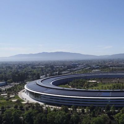 apple park 416 security