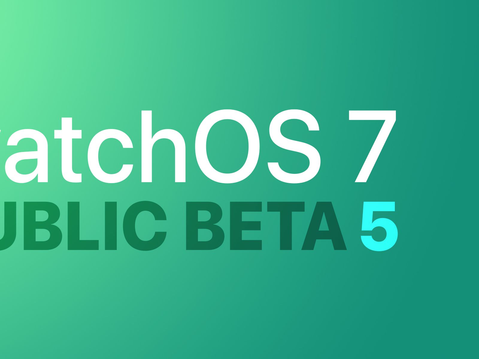 Watchos 7 public beta 5 sale