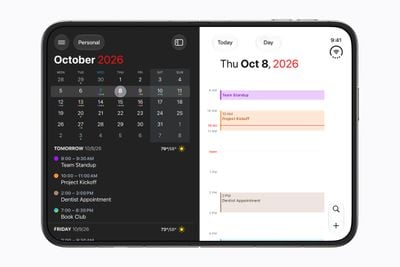 Fantastical iPhone Duo
