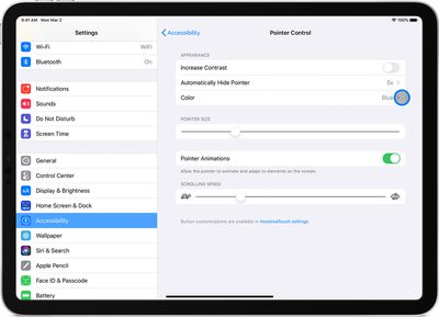 ios13 ipad pro settings accessibility pointer control customize