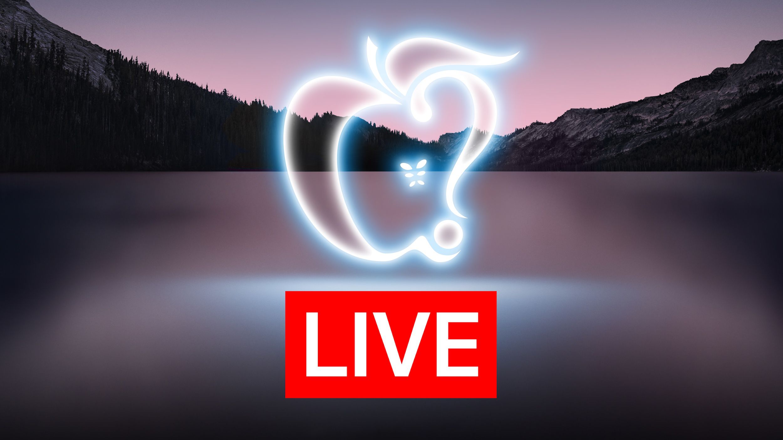 www.macrumors.com