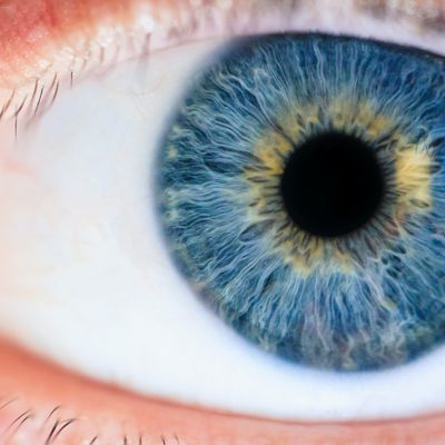 eye iris