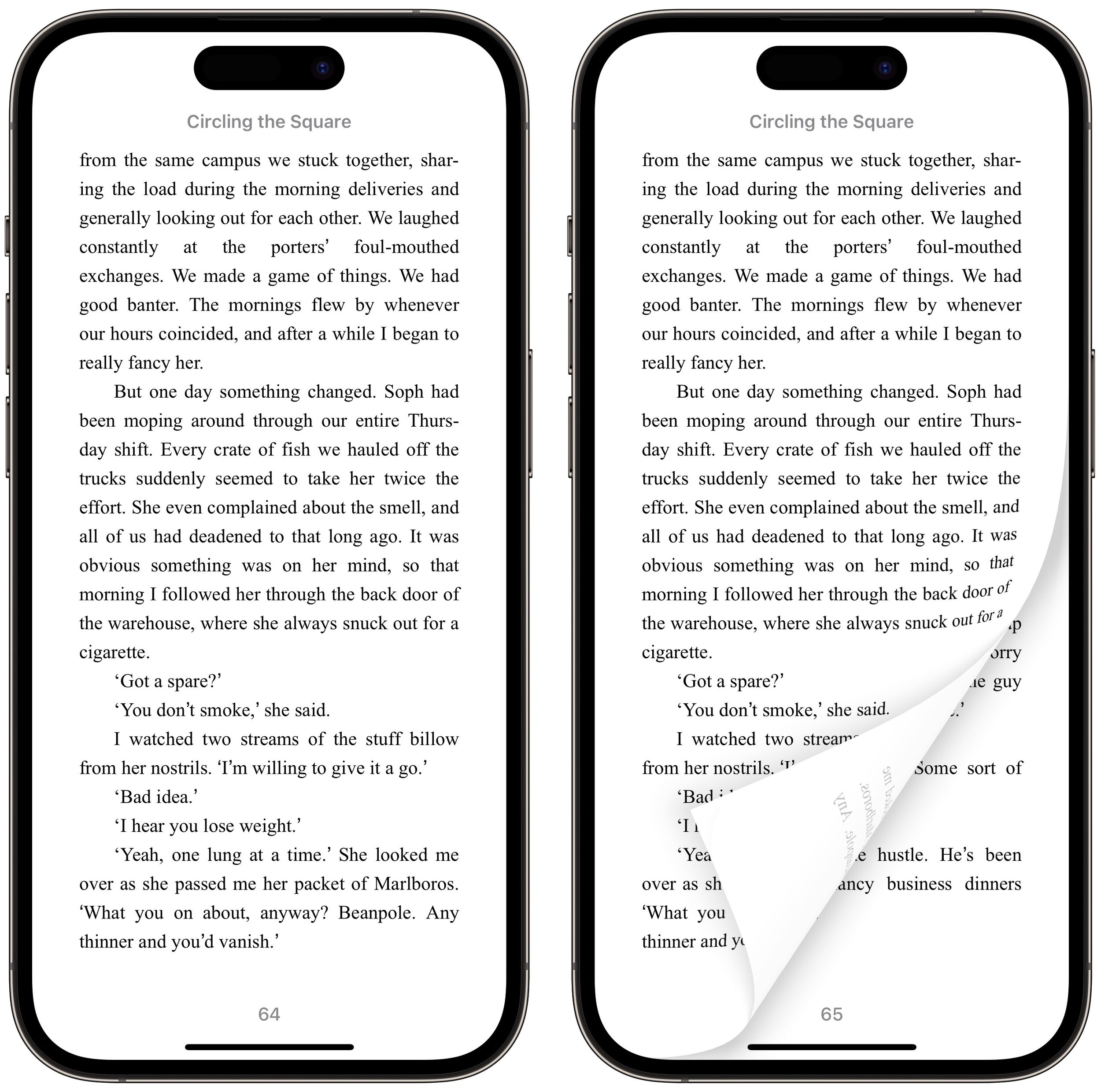 How to ReEnable the Classic Page Turning Animation in Apple Books