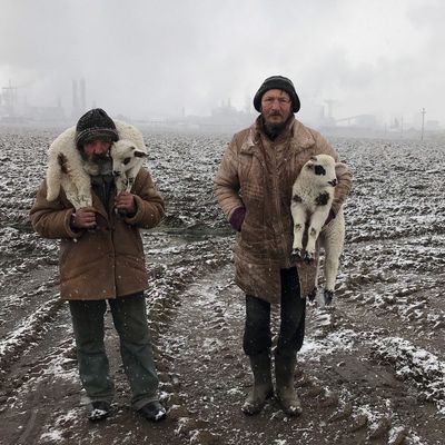 iphone photography awards 2021 1