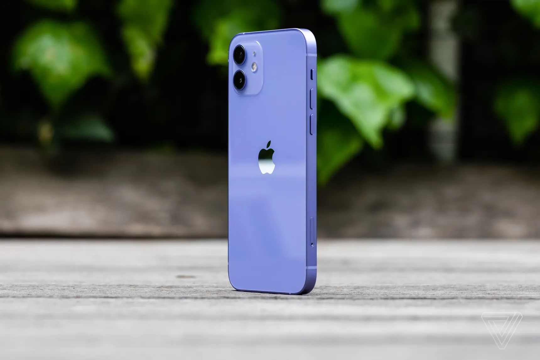 new purple iphone 12