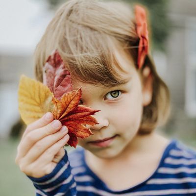 MacRumors content image