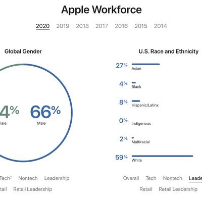 2020 diversity stats