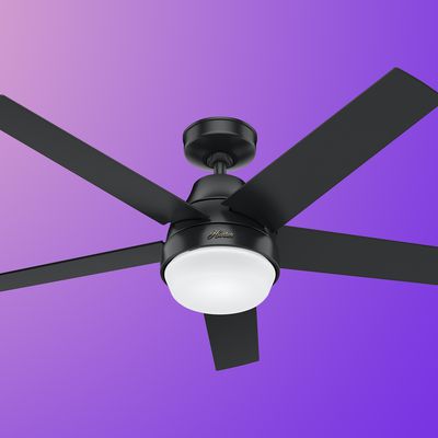 hunter fan feature purple