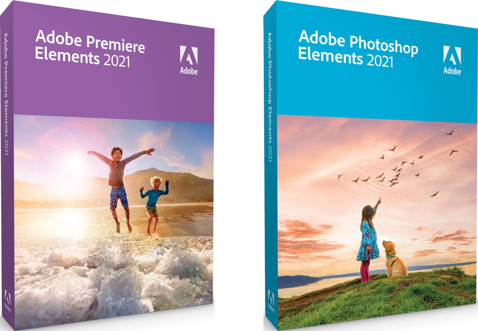 Adobe Photoshop Elements 2021PC周辺機器