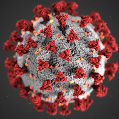 coronaviruscdc