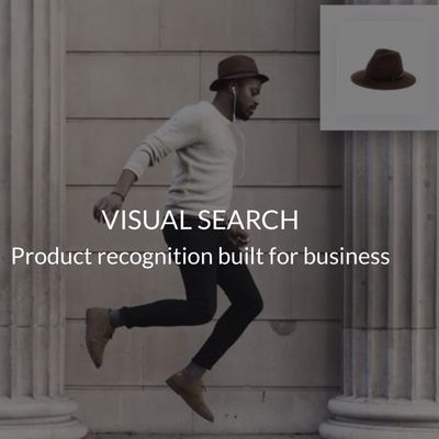 fashwellvisualsearch
