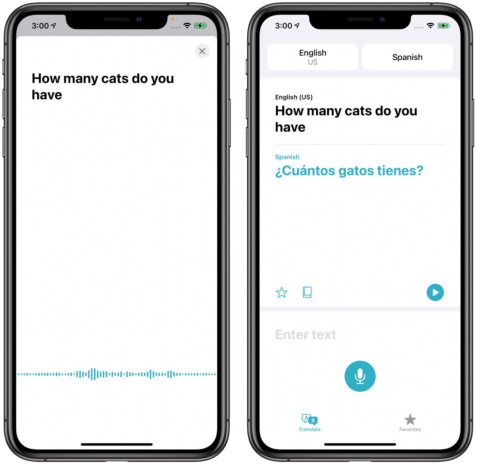 IOS 14: Apple's Built-In IPhone Translate App That Works With 11 ...