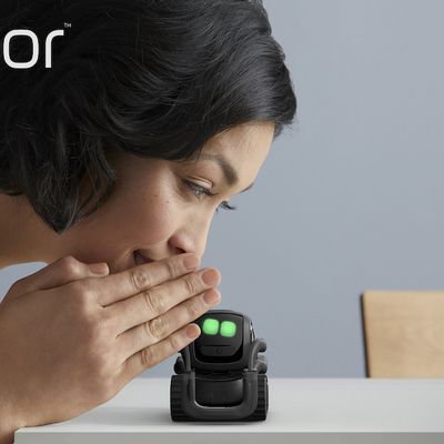 MacRumors content image